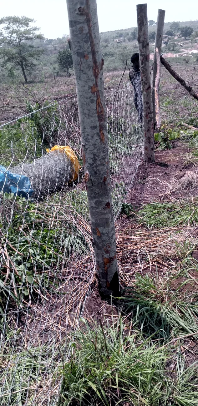 Fence posts